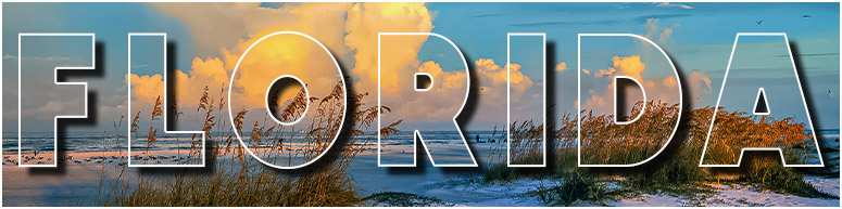 Florida Scenery